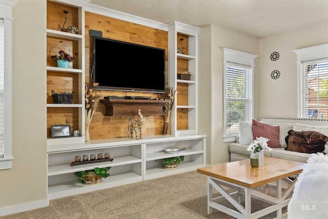 living room featuring carpet and a textured ceiling