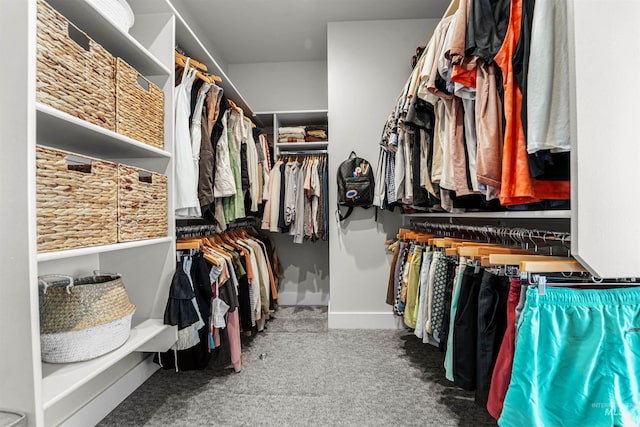 3067 N Sun City Ave, Star, ID 83669 - spacious closet with carpet