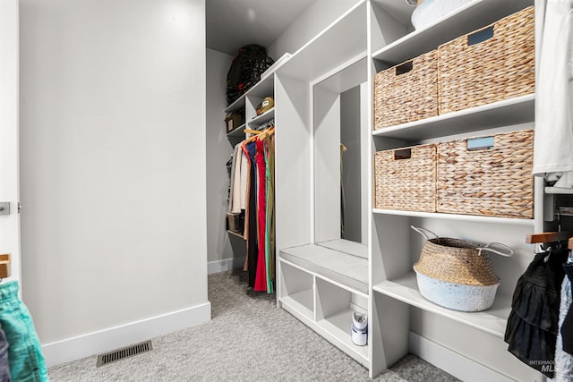 3067 N Sun City Ave, Star, ID 83669 - walk in closet featuring carpet flooring