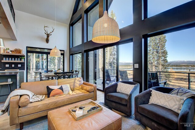 living area featuring a high ceiling, wood finished floors, and a wealth of natural light