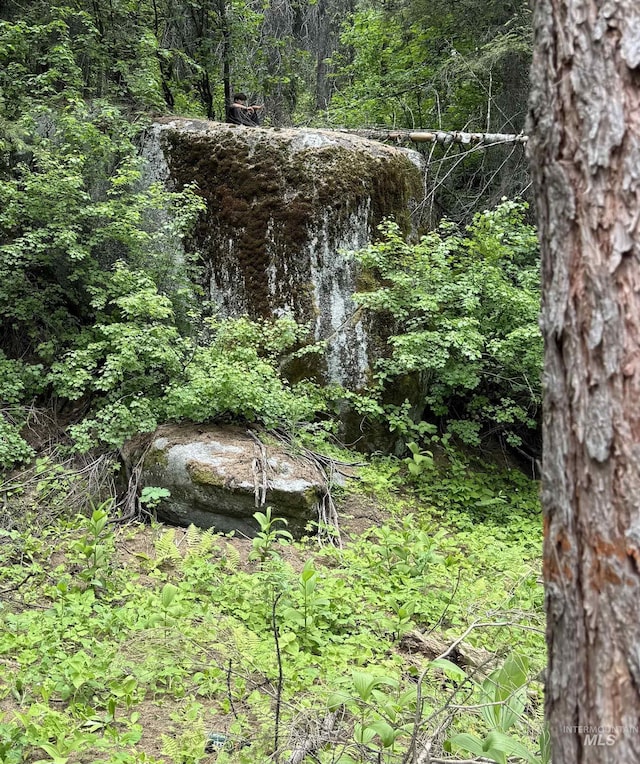 view of nature with a wooded view