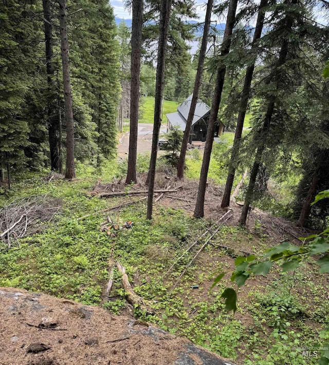 view of nature with a forest view