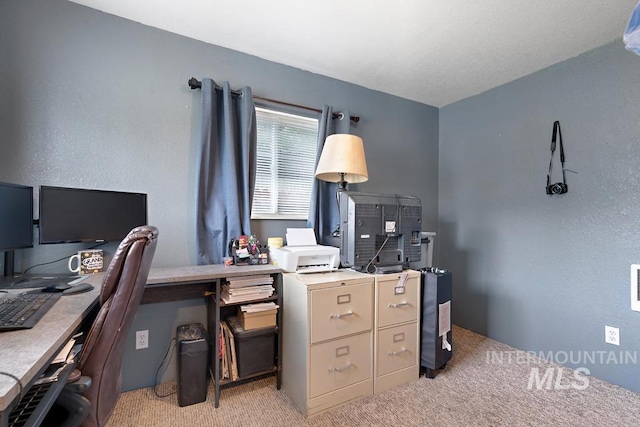 1015 E Park, Weiser, ID 83672 - home office with light carpet