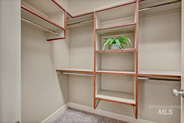 1512 N 28th St, Boise, ID 83703 - spacious closet featuring carpet floors