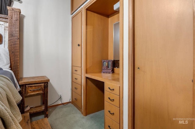 home office with light colored carpet