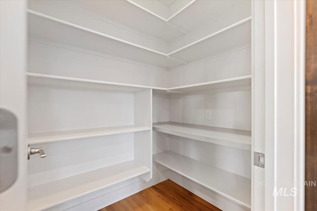 view of pantry