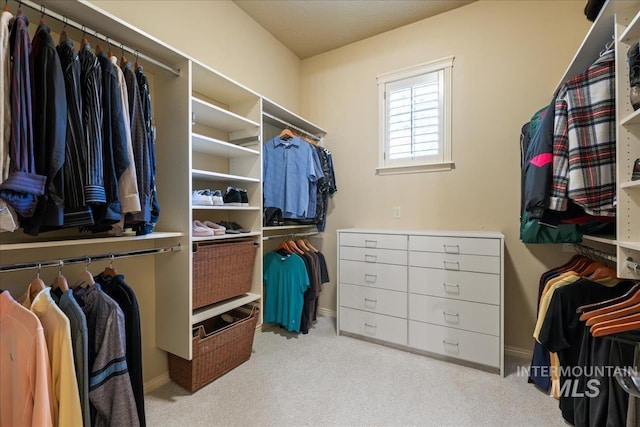 walk in closet with light carpet