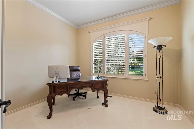 carpeted office with crown molding