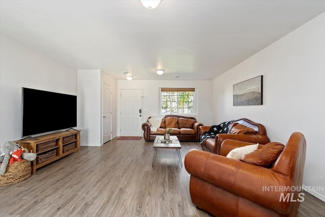living room featuring wood finished floors
