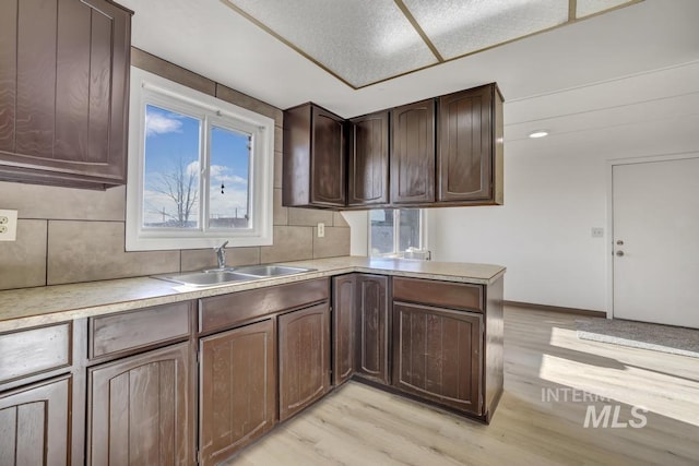 kitchen with dark brown cabinetry, light wood-type flooring, sink, and tasteful backsplash