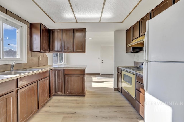 kitchen featuring sink, white refrigerator, backsplash, light hardwood / wood-style floors, and electric stove