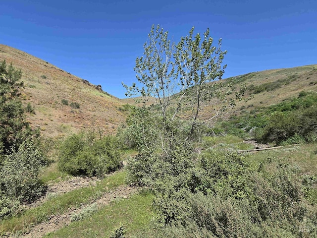 TBD Middle Fork Rd, Council, ID 83612
