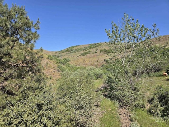 TBD Middle Fork Rd, Council, ID 83612