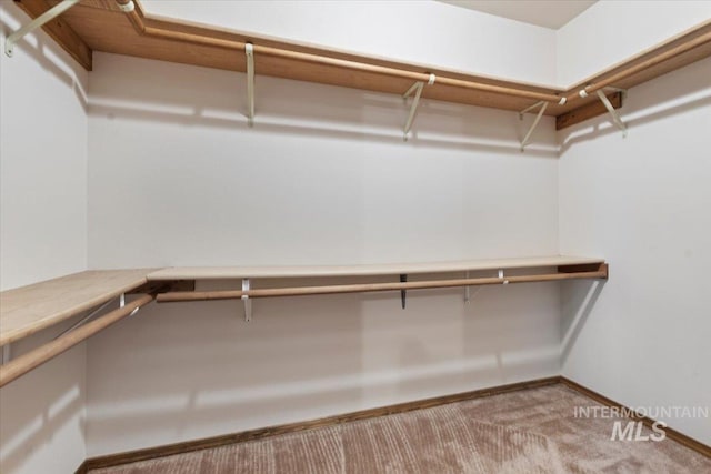 spacious closet with light carpet