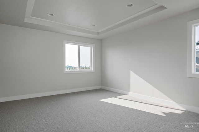 spare room featuring light colored carpet and a raised ceiling