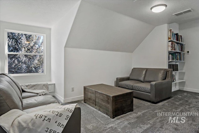 2873 W Wind Dr, Eagle, ID 83616 - living room with dark carpet, vaulted ceiling, and a textured ceiling