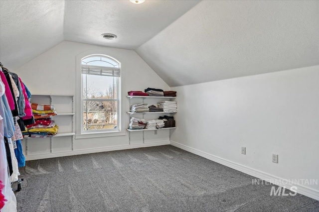 2873 W Wind Dr, Eagle, ID 83616 - additional living space featuring vaulted ceiling, a textured ceiling, and carpet