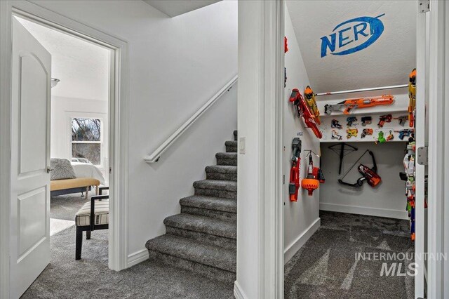 2873 W Wind Dr, Eagle, ID 83616 - staircase featuring carpet flooring and a textured ceiling