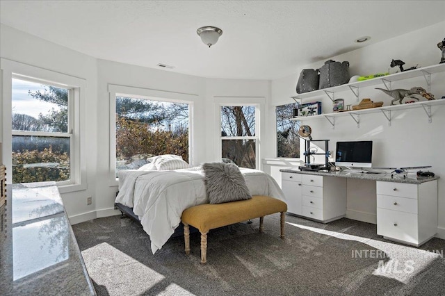 2873 W Wind Dr, Eagle, ID 83616 - bedroom featuring multiple windows and dark colored carpet