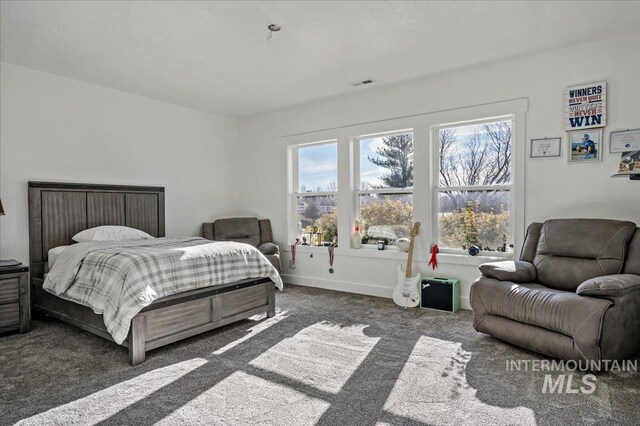 2873 W Wind Dr, Eagle, ID 83616 - bedroom with dark carpet