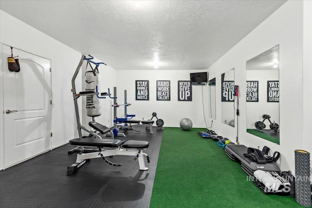 2873 W Wind Dr, Eagle, ID 83616 - exercise room with a textured ceiling