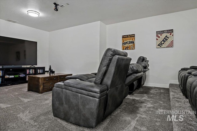 2873 W Wind Dr, Eagle, ID 83616 - cinema with dark colored carpet and a textured ceiling