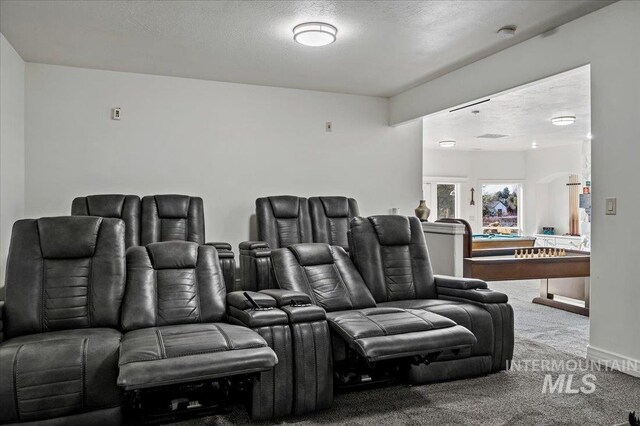 2873 W Wind Dr, Eagle, ID 83616 - carpeted cinema featuring billiards and a textured ceiling