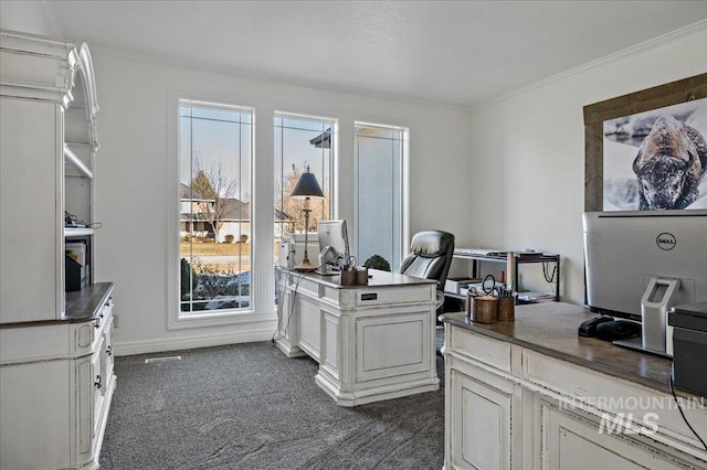 2873 W Wind Dr, Eagle, ID 83616 - carpeted office space featuring ornamental molding and plenty of natural light