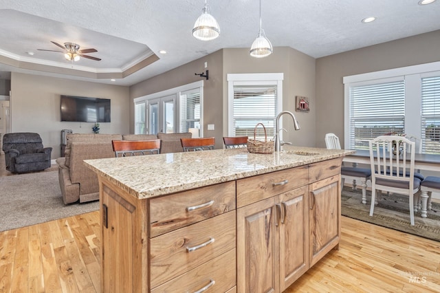 120 S Marko Ln, Kuna, ID 83634 - kitchen featuring a sink, light wood-style flooring, ceiling fan, a raised ceiling, and healthy amount of natural light