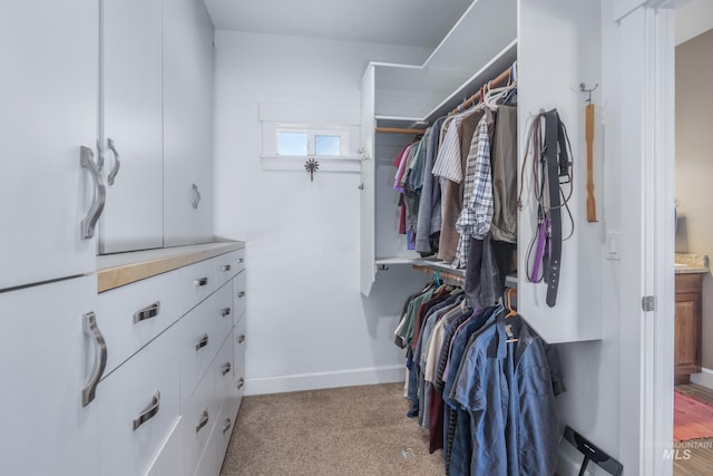 120 S Marko Ln, Kuna, ID 83634 - walk in closet with light carpet
