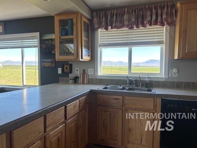 16 E 300 S Unit 16E 300S, Fairfield, ID 83327 - kitchen with a sink, dishwasher, plenty of natural light, and glass insert cabinets
