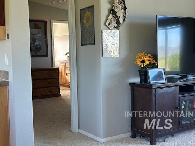 16 E 300 S Unit 16E 300S, Fairfield, ID 83327 - hallway with carpet and baseboards
