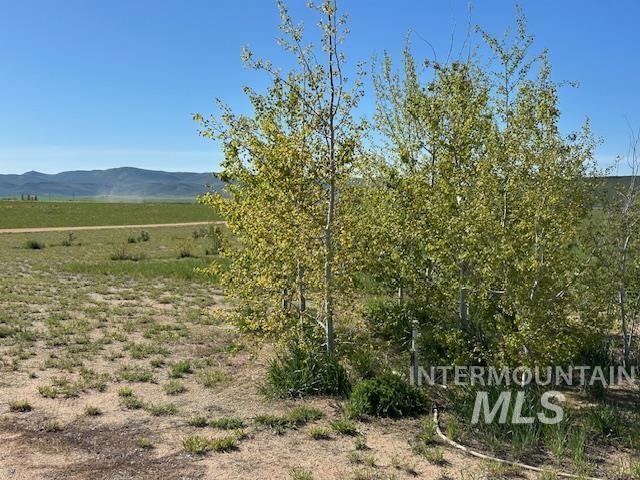 16 E 300 S Unit 16E 300S, Fairfield, ID 83327 - mountain view