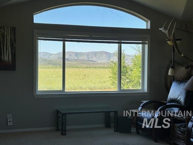 16 E 300 S Unit 16E 300S, Fairfield, ID 83327 - bonus room featuring carpet flooring, a mountain view, and baseboards