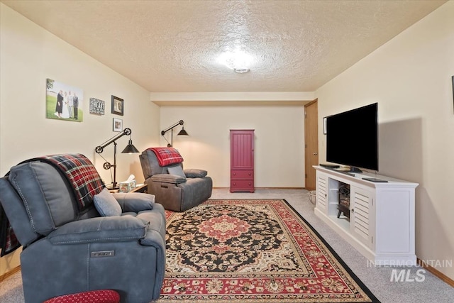 1460 Fairway Ct, Mountain Home, ID 83647 - living room with a textured ceiling and carpet