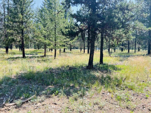 LOT6 Coy Rd, Mccall, ID 83638
