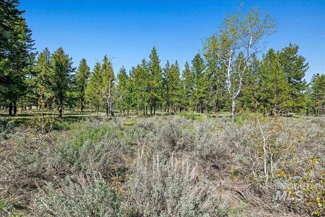 LOT6 Coy Rd, Mccall, ID 83638