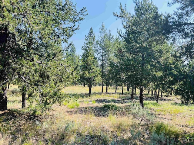 LOT6 Coy Rd, Mccall, ID 83638