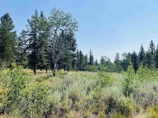 LOT6 Coy Rd, Mccall, ID 83638