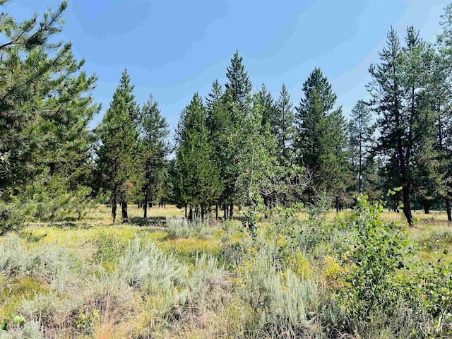 LOT6 Coy Rd, Mccall, ID 83638