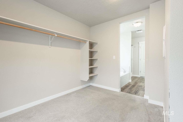 7666 E Lightfoot St, Nampa, ID 83687 - spacious closet featuring carpet flooring