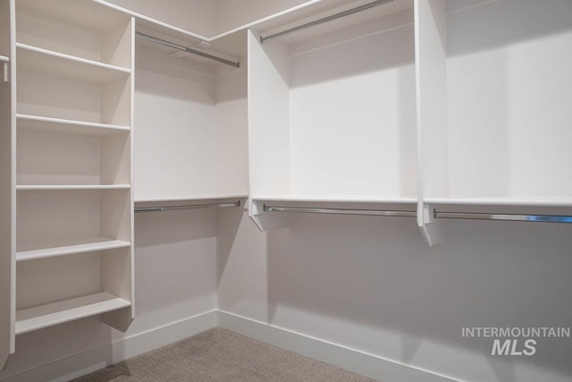 spacious closet with carpet flooring