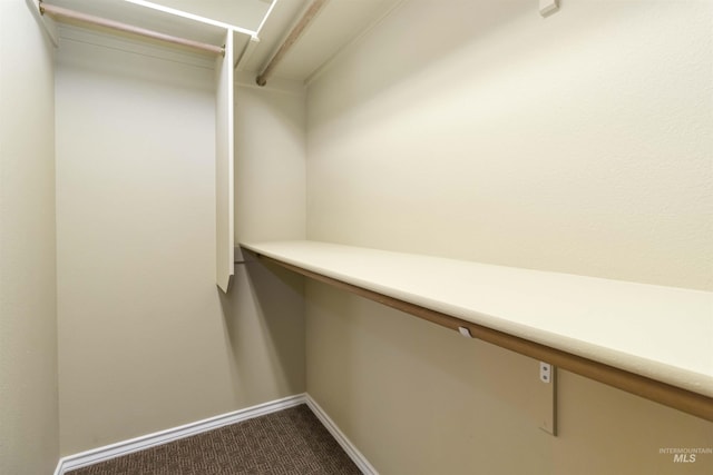 421 N David Frost St, Nampa, ID 83651 - walk in closet with dark colored carpet