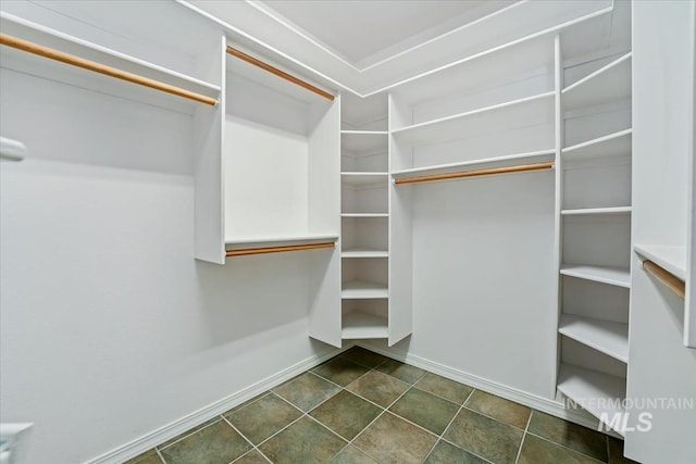 2368 SE 5th Way, Meridian, ID 83642 - view of spacious closet