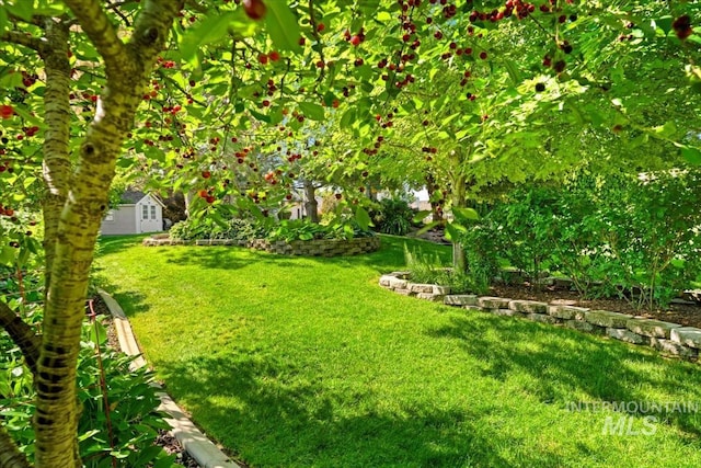 2368 SE 5th Way, Meridian, ID 83642 - view of grassy yard