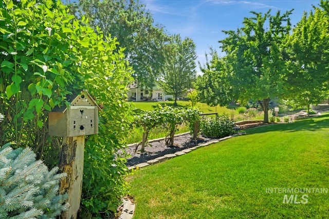 2368 SE 5th Way, Meridian, ID 83642 - view of grassy yard