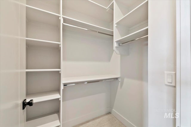 spacious closet featuring light carpet