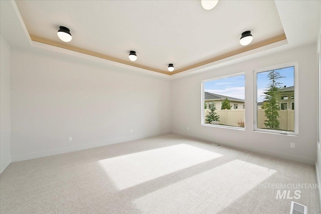 carpeted spare room featuring a raised ceiling