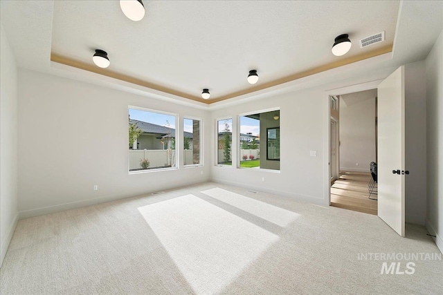 unfurnished bedroom featuring a tray ceiling and light colored carpet