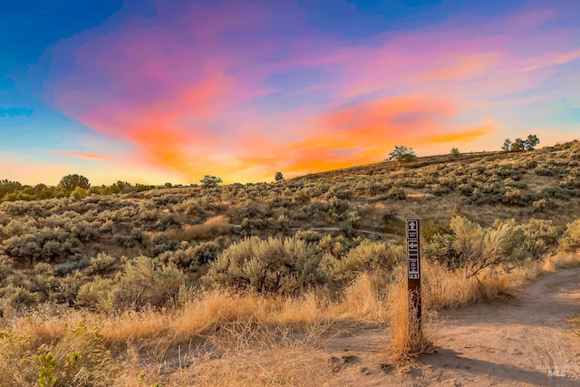 view of nature at dusk